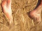 Alsagora ferme maison jusqu'au août