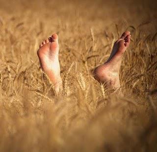 Alsagora ferme la maison jusqu'au 16 août