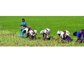 L'art d'utiliser temps judicieusement