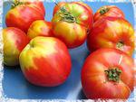 tomates__