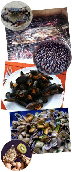Recettes de bord de mer
