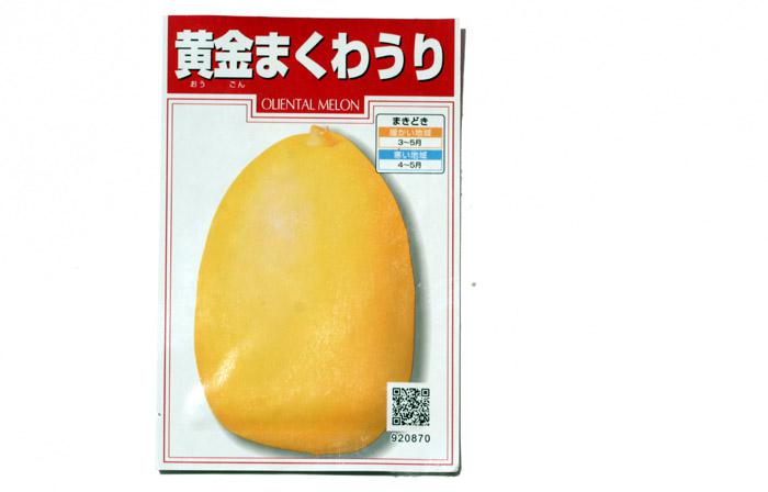 Melon oriental makuwa Japon 真桑瓜