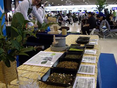 Du thé à l'aéroport de Narita
