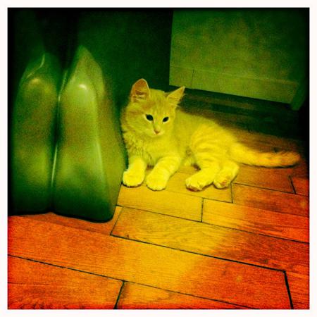 Dire que mardi, il aura un harnais Davidson...