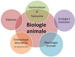 La Biologie animale une science de structure