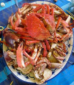 Panique chez les crustacés