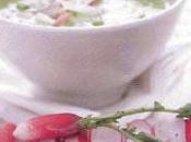 Croque-radis soupe fanes