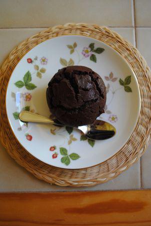 Dark_chocolate_cupcakes_with_icing3