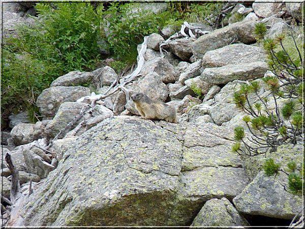 Les Gorges de la Carança