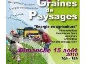 Venez cueillir fleurs Gerbeviller août