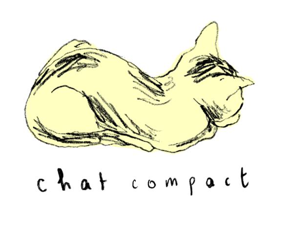 chatcompact