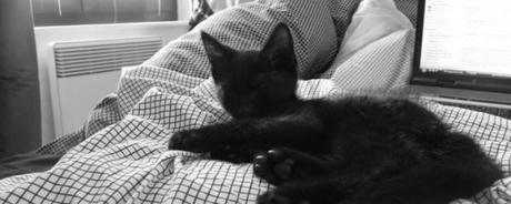 flash n&b Since 21 years…