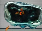 Habitarium aquarium très spécial Genève