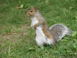 Chronique des CPourNous...1ère partie