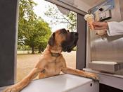 c'que c'est drôle regarder....