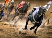 L’Etat UMP, République croque-mitaine