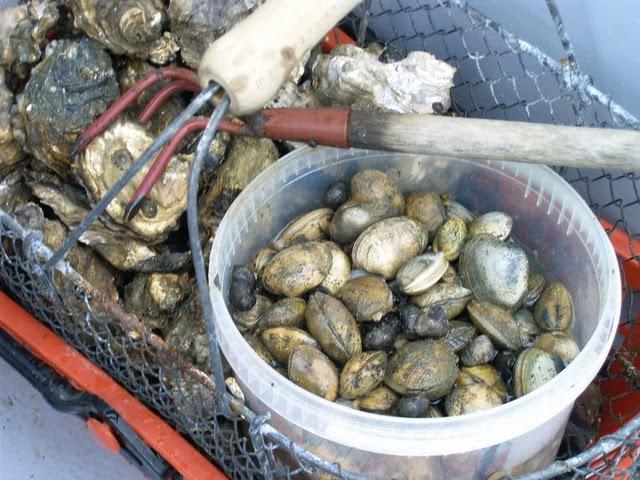 Bagueneau sur l'eau , à  marée dans le canot