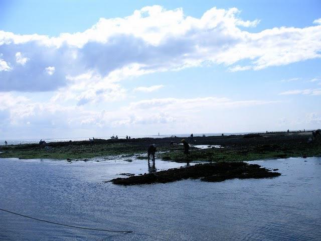 Bagueneau sur l'eau , à  marée dans le canot