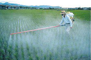 pesticides du goji non bio