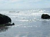 L'EAU Avant prendre LargeS'imprégner cette...