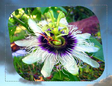 Les calques avec PhotoFiltre Studio X