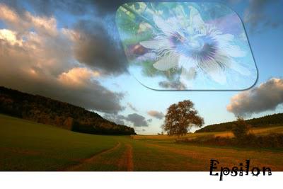 Les calques avec PhotoFiltre Studio X