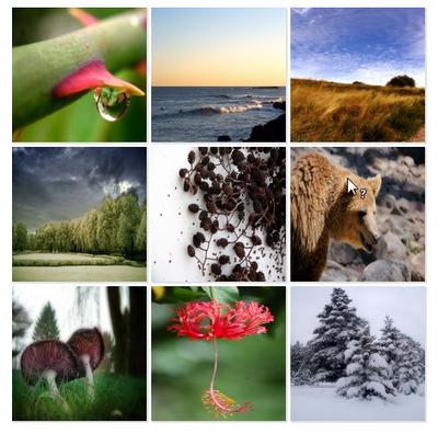 Où trouver de belles photos libres de droits ?