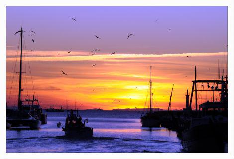 Les portes de la mer Grau du Roi 1.jpg