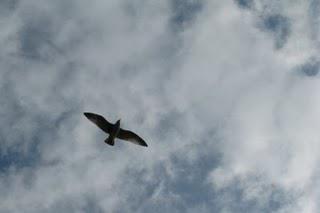 Les Padox à Fresnes - 10ème jour