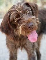 DANS LA CUISINE D'ULRIKE