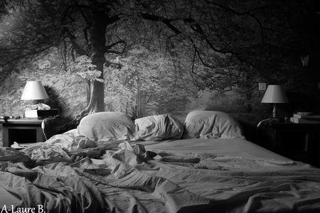 lit_defait_017_copie