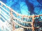 expédition l'épave Titanic suivre direct Internet