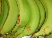 court-bouillon mulâtre ti-bandits