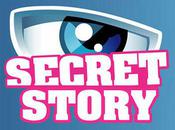 fait meilleures télé-réalité, preuve avec feuilleton l'été, Secret Story