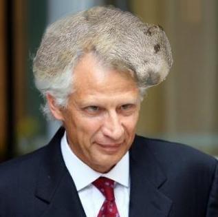 Marmotte Cendree Socialo-Républicaine. Très rare. En voie de disparition.