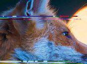 Everything everything "Man alive"