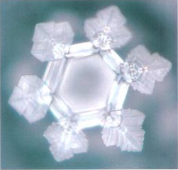 Billetterie web pour représentation théâtrale!