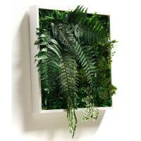Tableau végétal design Picagreen 40 cm