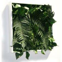 Tableau végétal design Matigreen 40 cm