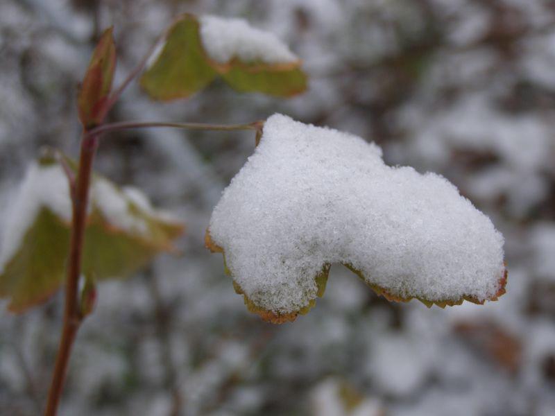 Le sol est dur (Michel Dugué)