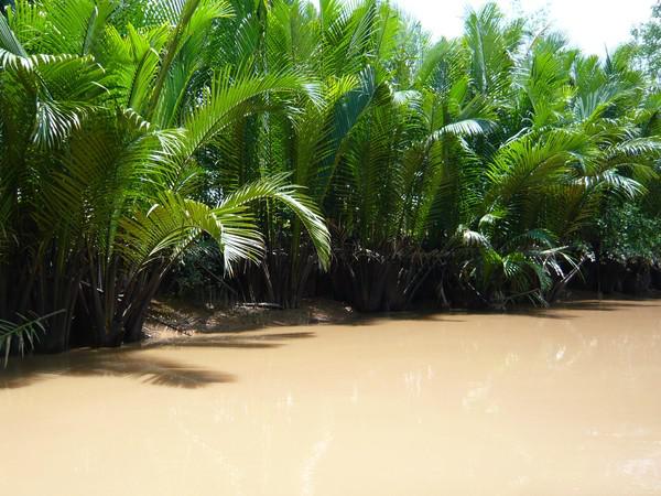   Trois savoyards au Viêt Nàm !!