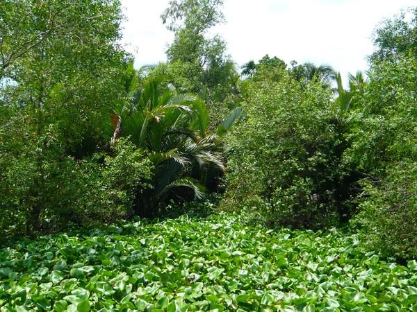   Trois savoyards au Viêt Nàm !!