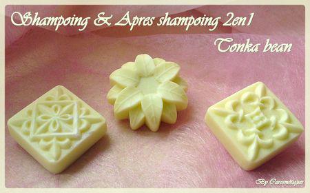 shampoingetapresshampoing