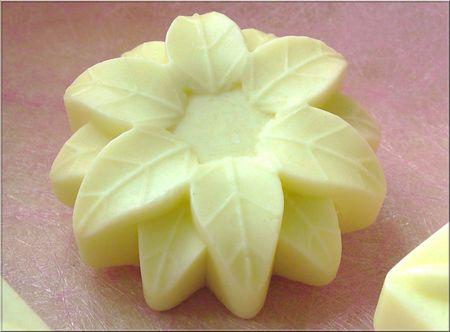 zoomshampoingetapresshampoingtonkabean