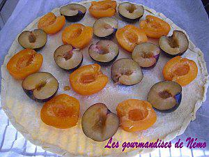 tarte abricots prunes (2)