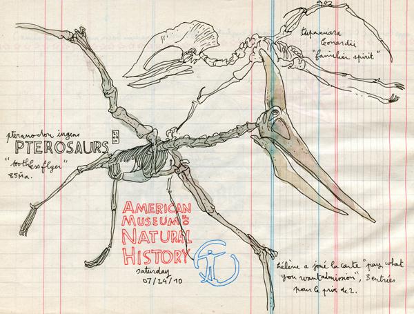 museum of natural history