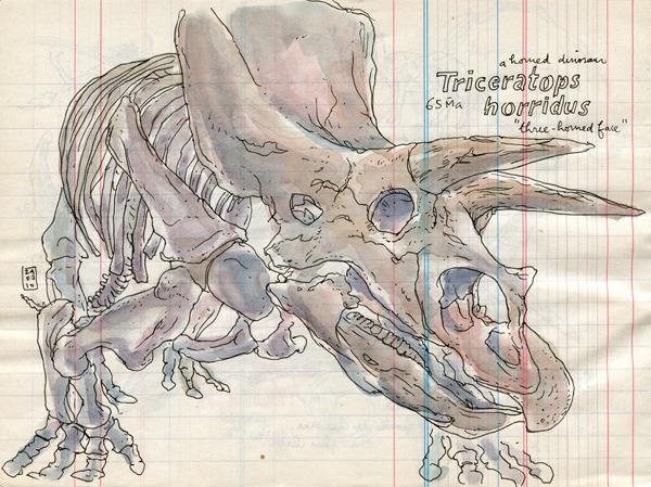 museum of natural history