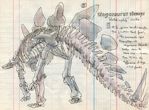 museum of natural history