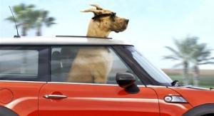 zz03a45e6a Sorties cinéma du Mercredi 18 aout !