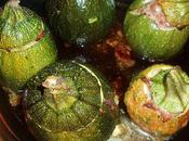 Courgettes rondes farcies